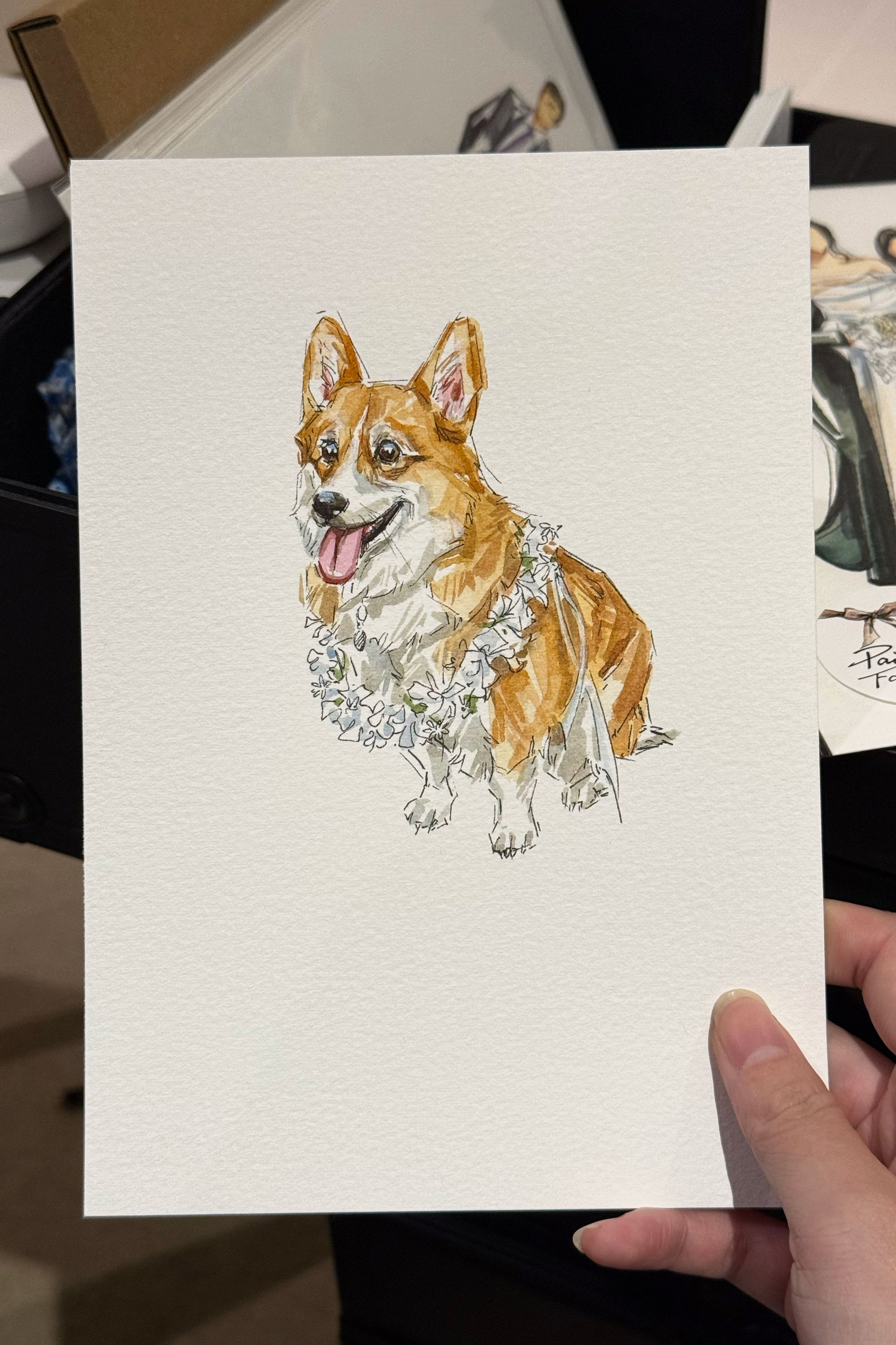 Pet Sketch